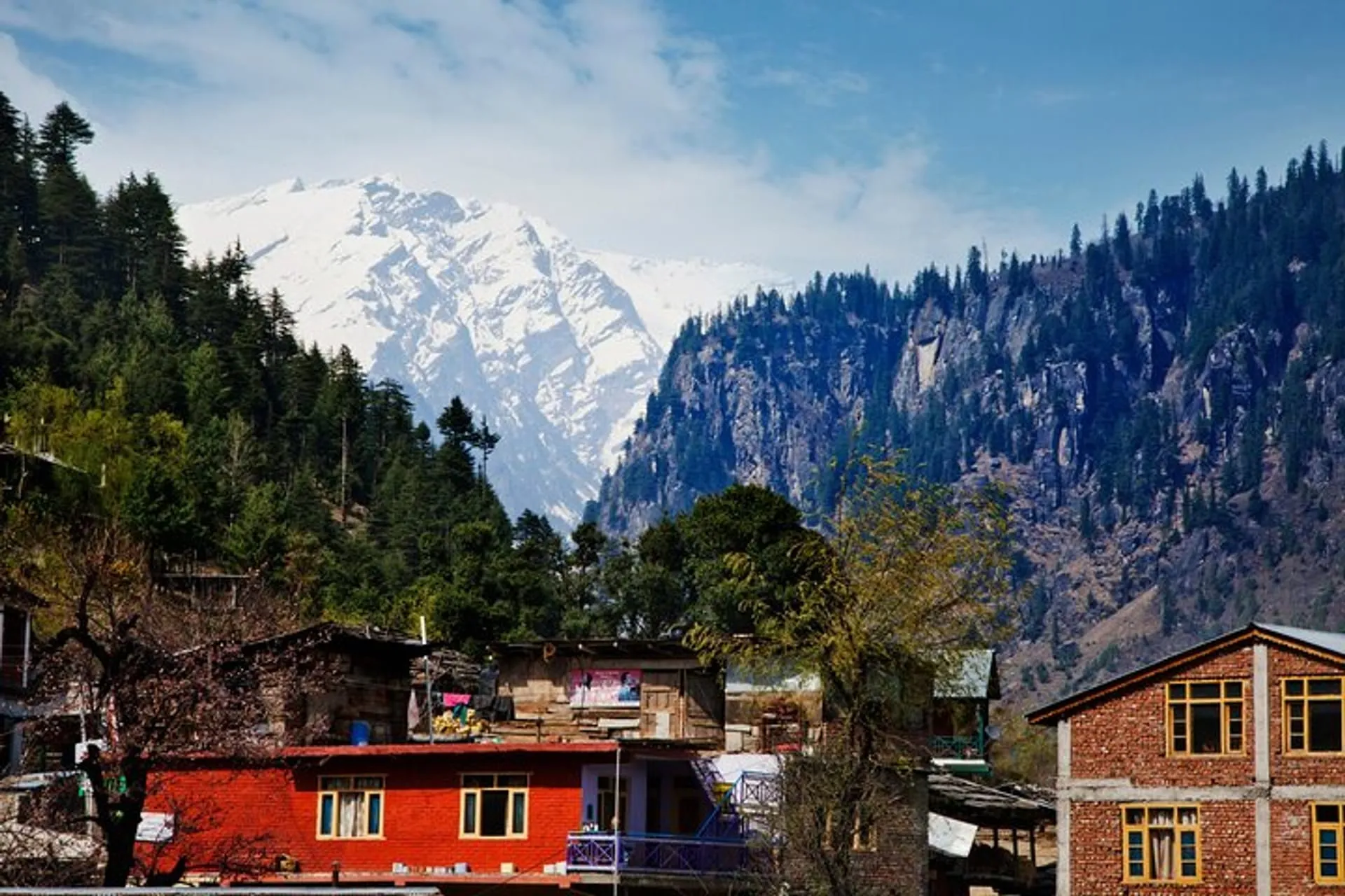 Local experiences with Airbnb hosts in Manali