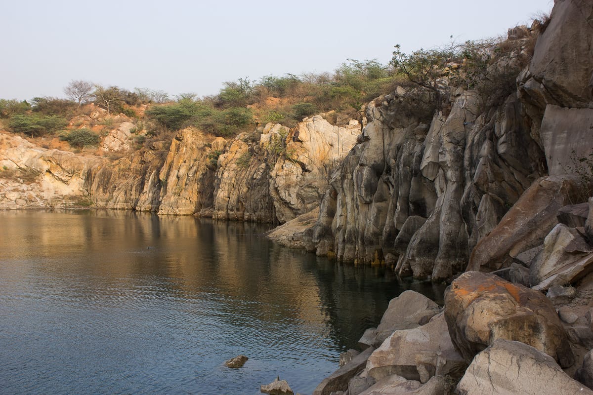 Conservation efforts at Asola Bhatti Wildlife Sanctuary