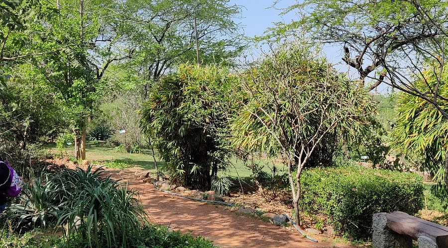 Nature trails at Asola Bhatti Wildlife Sanctuary