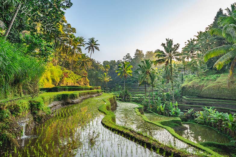 Bali travel cost budget breakdown