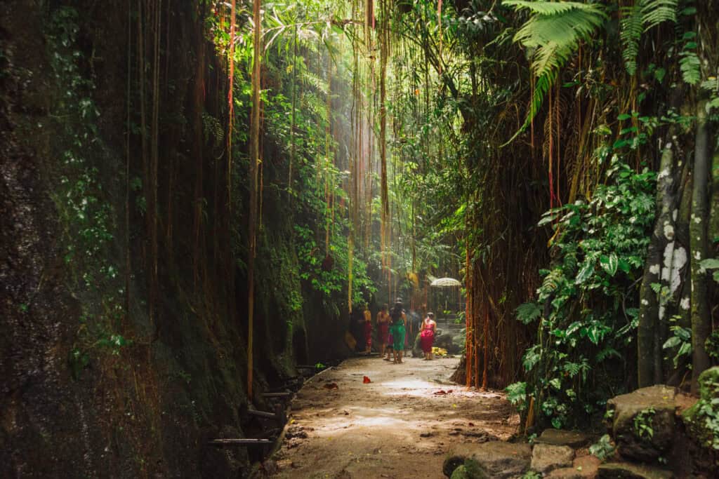 Stone path and steps leading to Beji Griya Waterfall