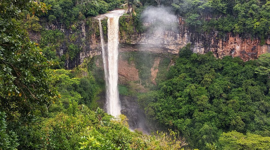 Black River Gorges Mauritius: Trails, Wildlife & Visitor Information