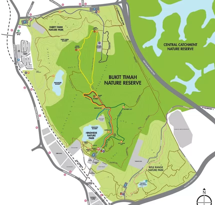 Trail route view at Bukit Timah Nature Reserve