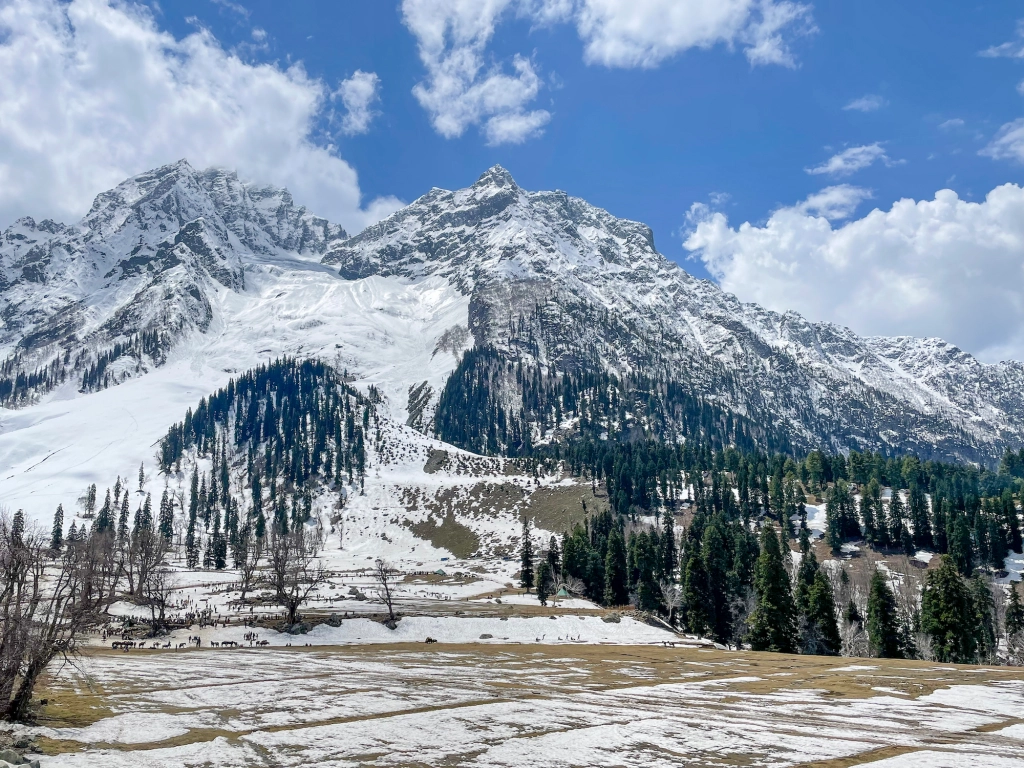 Camping tents near Thajiwas Glacier with snow-covered peaks