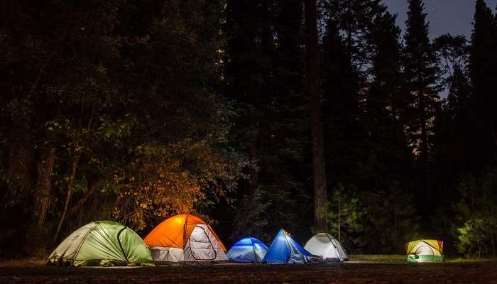 Forest camping in Meghalaya with tents among trees