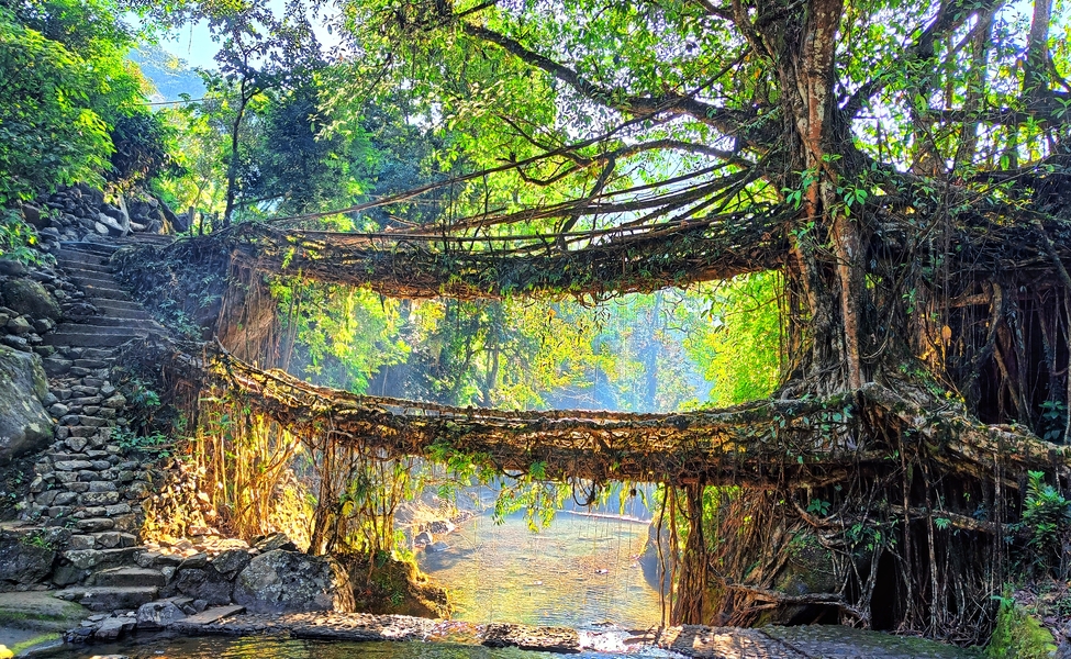 Camping near living root bridges in Meghalaya