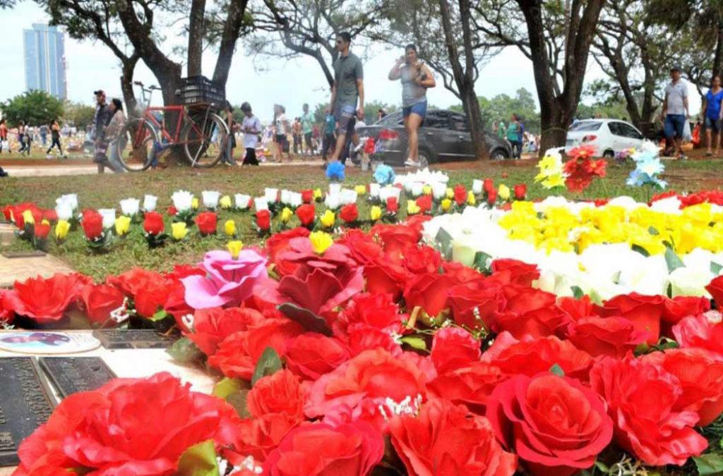 Annual Rose Festival celebration at Chandigarh Rose Garden