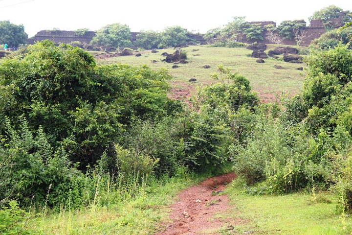 Trek Path to Chapora Fort