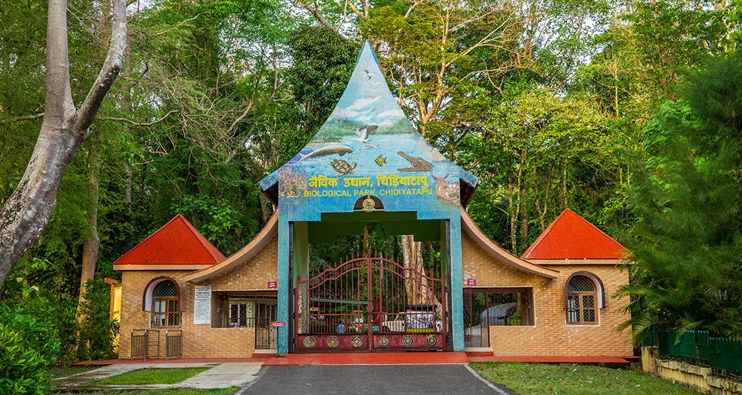 Bird watching at Chidiya Tapu biological park