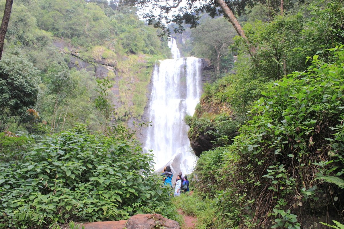 Hebbe Falls trek in Chikmagalur