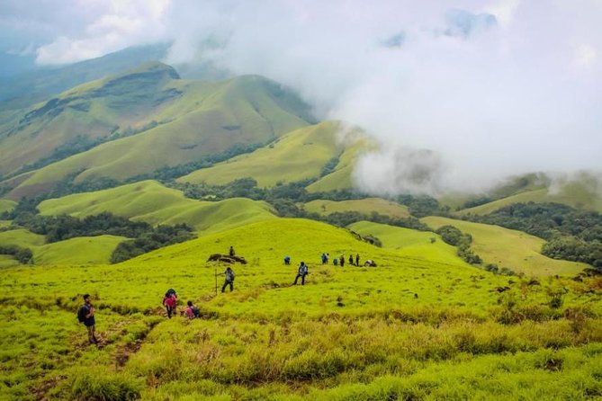 Trekking trail through Chikmagalur forests