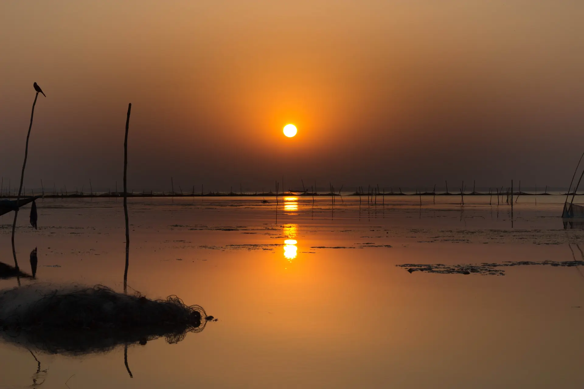 Chilika Lake Sunrise - Golden hour over the tranquil lagoon
