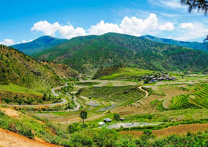 Countryside path leading to Chimi Lhakhang