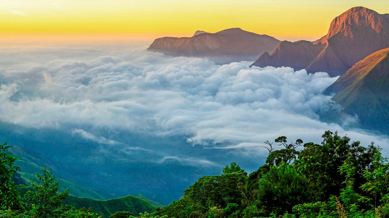 Chinnar Wildlife Sanctuary landscape