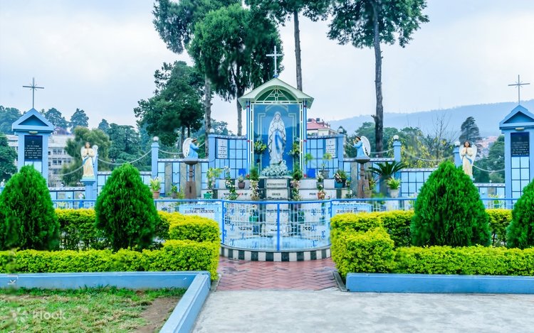 Church courtyard and pathway in Shillong with pine surroundings