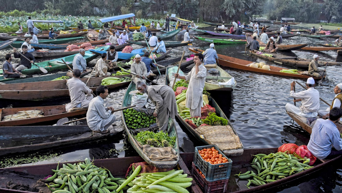 Floating market activity on Dal Lake
