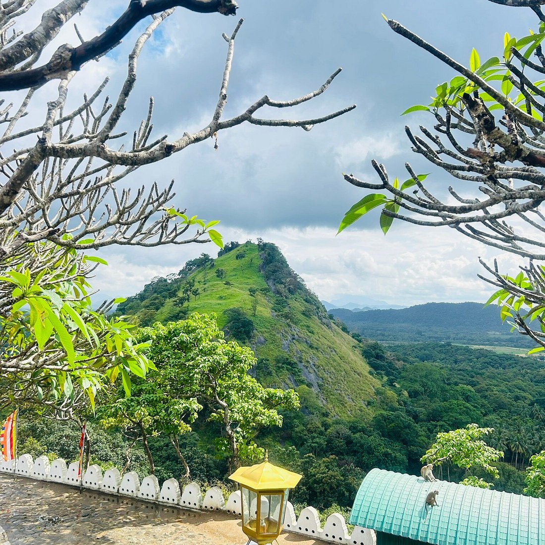 Hilltop panoramic view near Dambulla Cave Temple