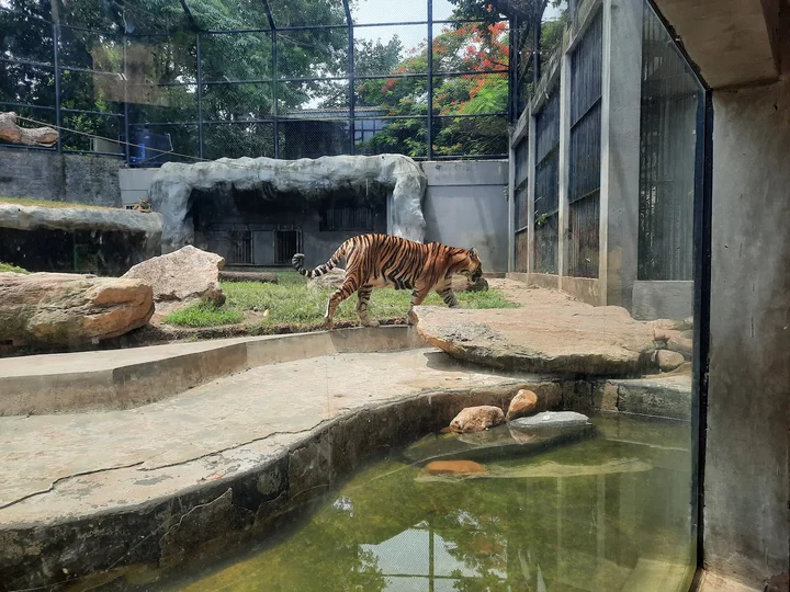 Animal enclosure at Dehiwala Zoo
