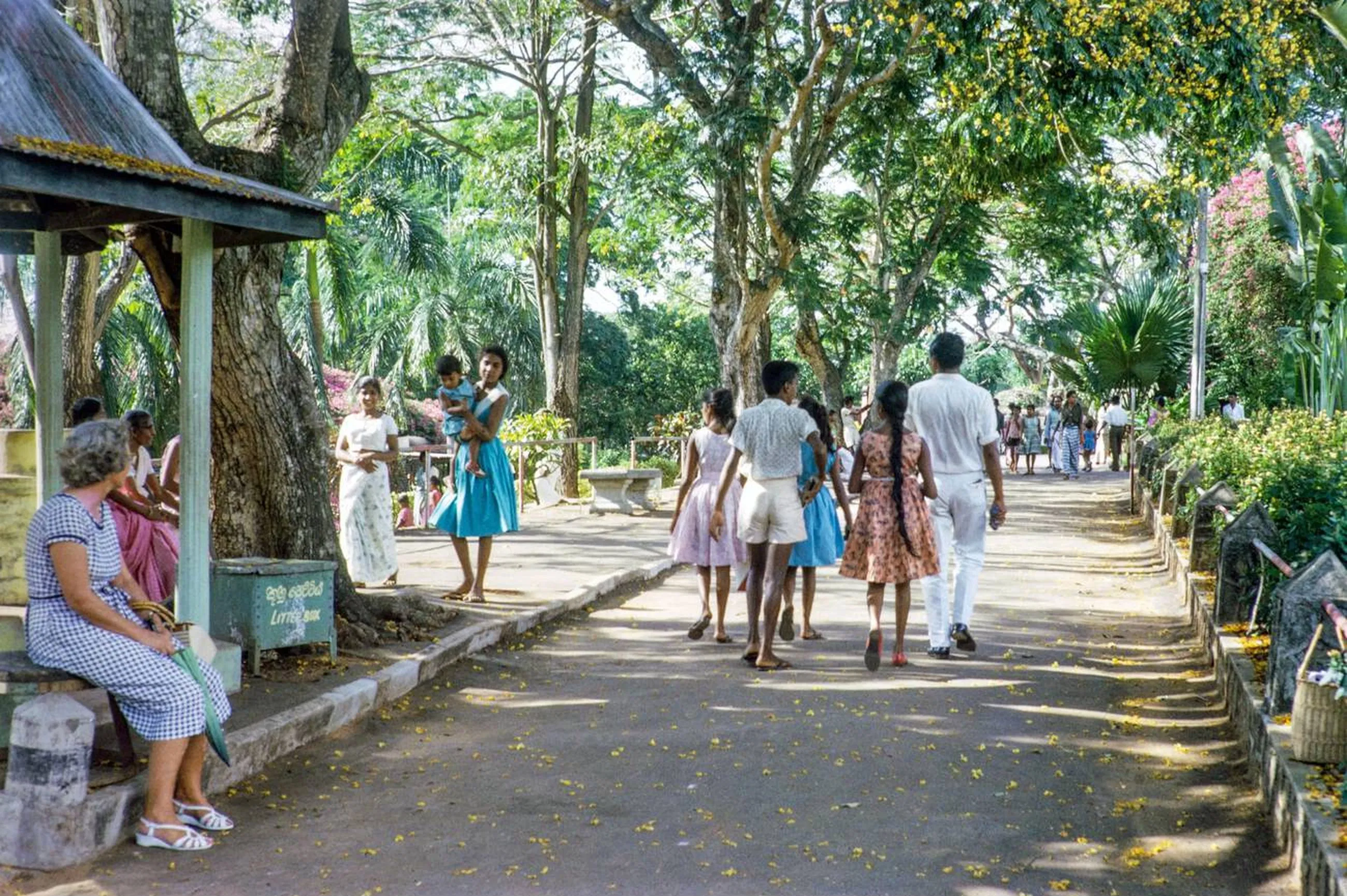 Family visitor walkway inside Dehiwala Zoo