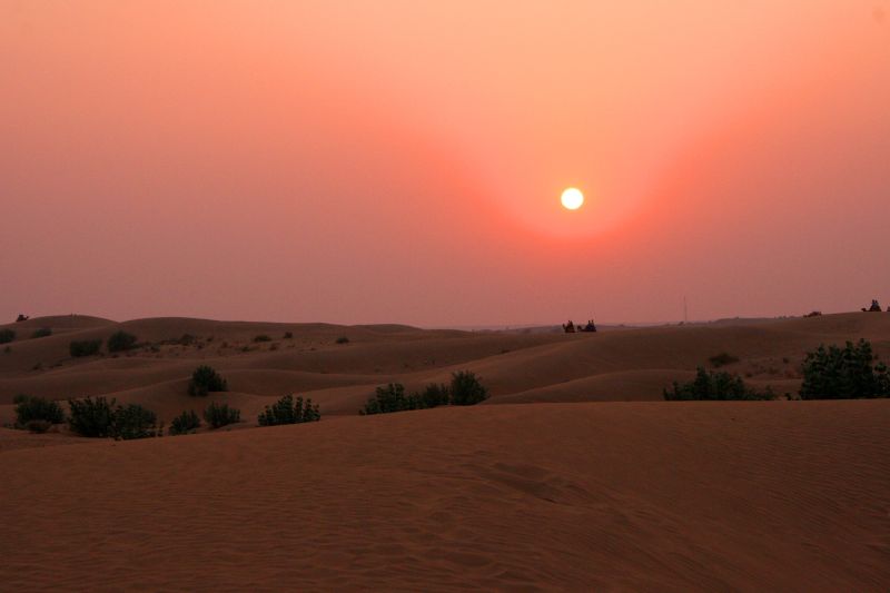 Sunset mood in Desert National Park near Jaisalmer