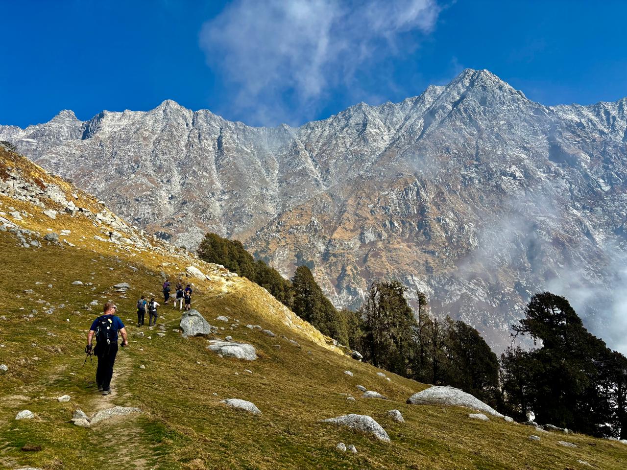 Mountain trail and pine forest route near Dharamshala