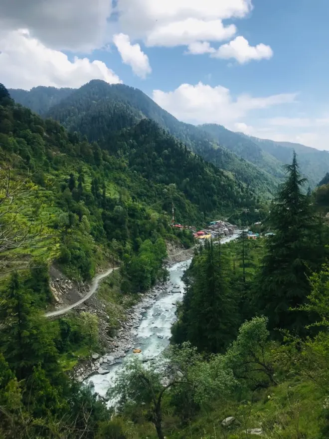 Forest trail section on Dhauladhar route