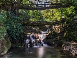 Trek checklist for Double Decker Root Bridge in Meghalaya