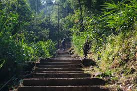 Trek route stairs descending from Tyrna to Nongriat village