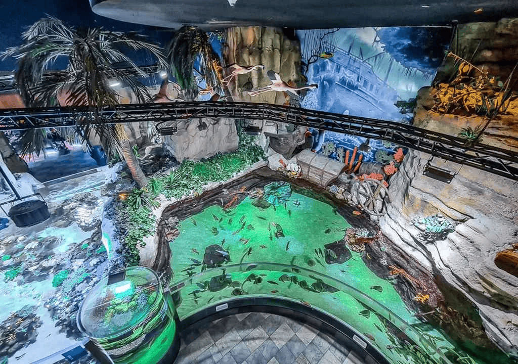 About Dubai Aquarium and Underwater Zoo
