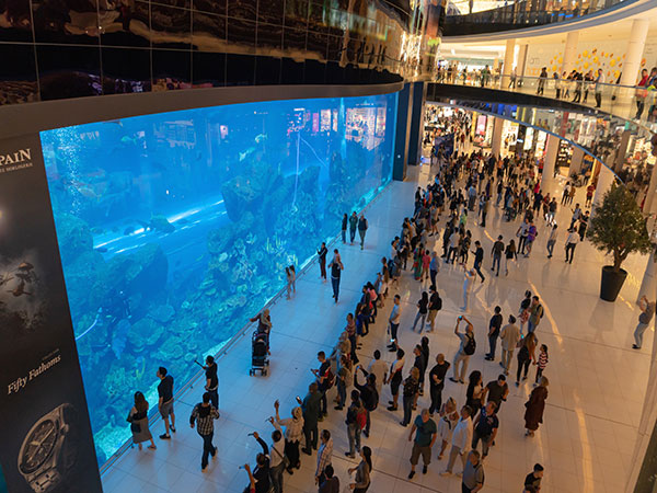 Dubai Aquarium timings and best time to visit