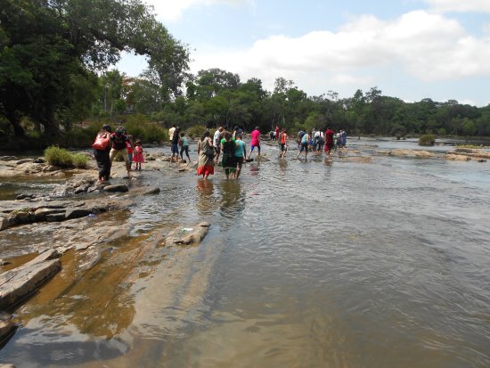 Forest-side walking trail near Dubare Elephant Camp