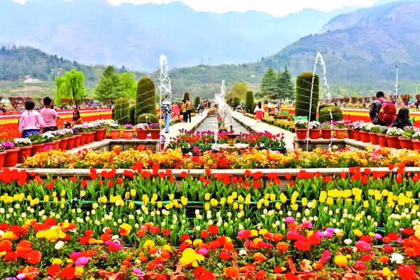 Visitors enjoying the peaceful atmosphere at Eco Park