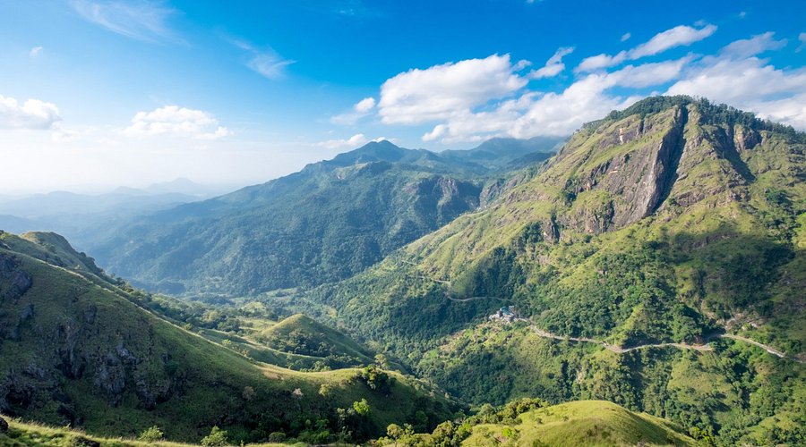 Trail path near Little Adam's Peak in Ella