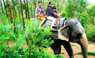 Family travelers exploring a temple and market route in Erode
