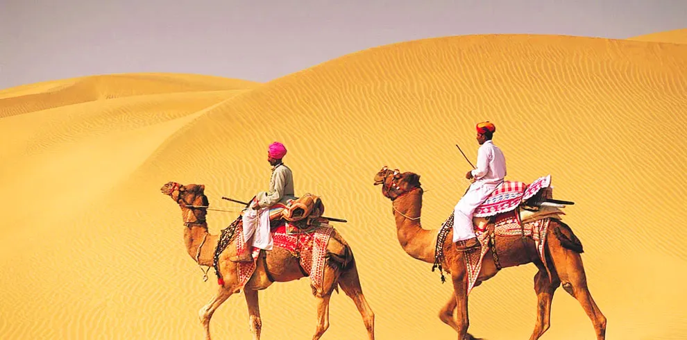Camel safari in the Thar Desert at sunset