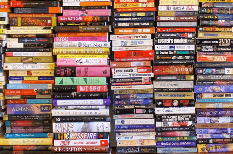 Used textbooks and fiction stacks at Fernandes Bridge