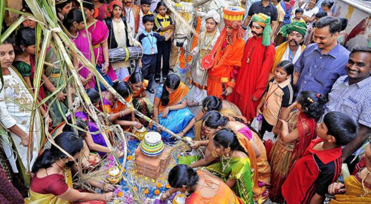 Sankranti harvest festival celebrations in Chittoor