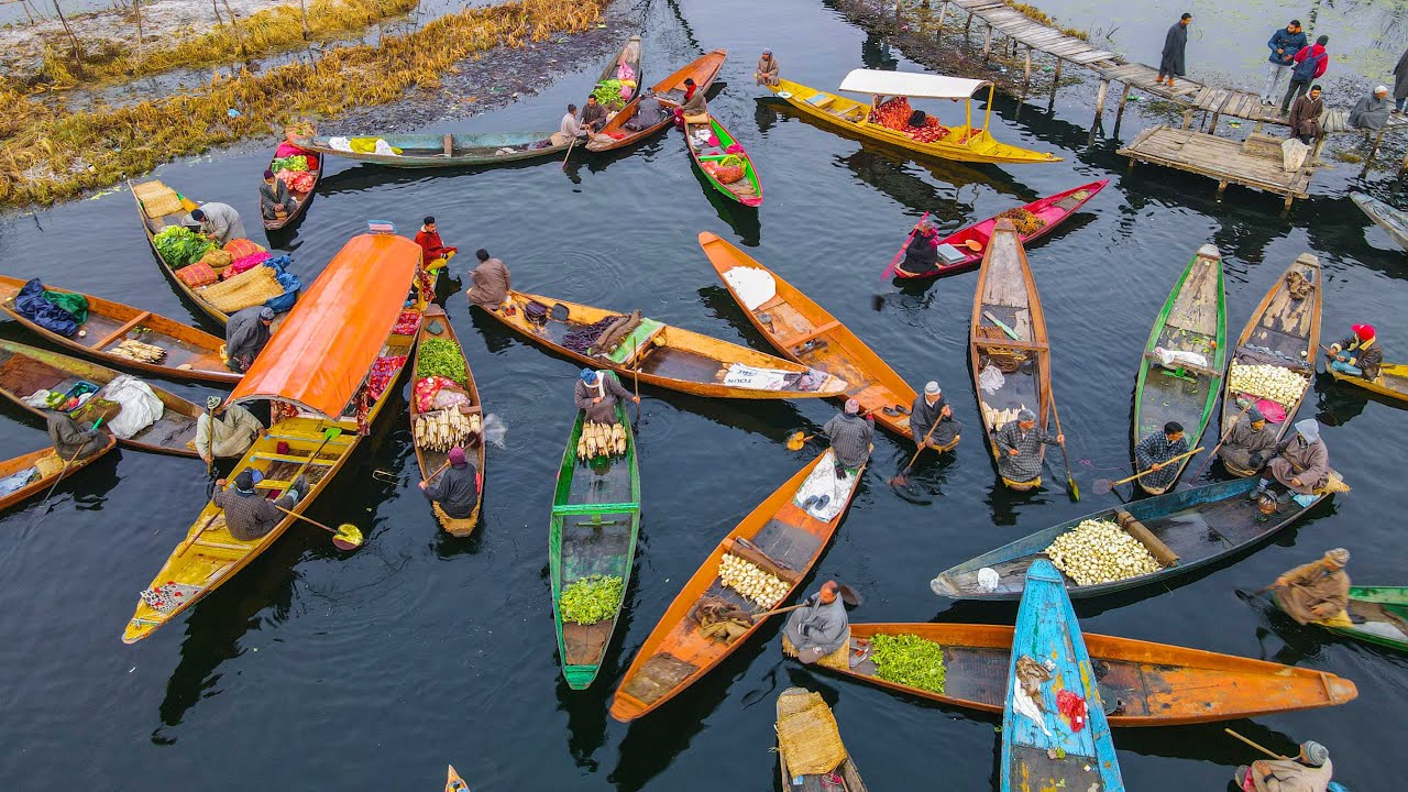 Aerial view of floating gardens on Dal Lake Srinagar