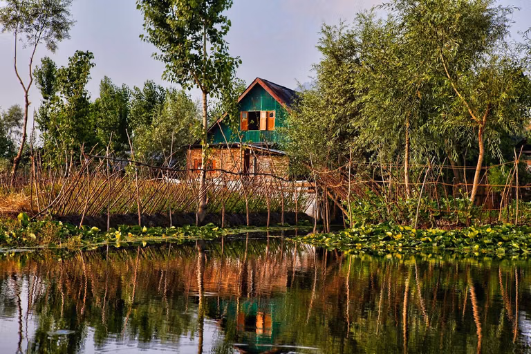Construction of floating garden with willow logs and vegetation