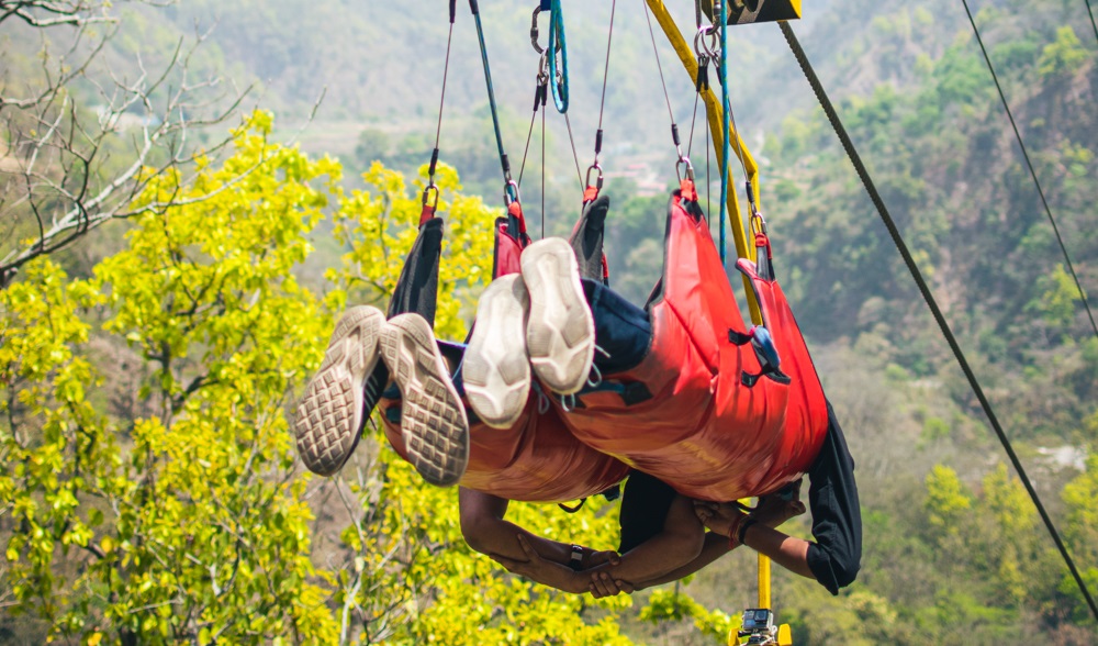Best time window planning for Flying Fox activity in Rishikesh