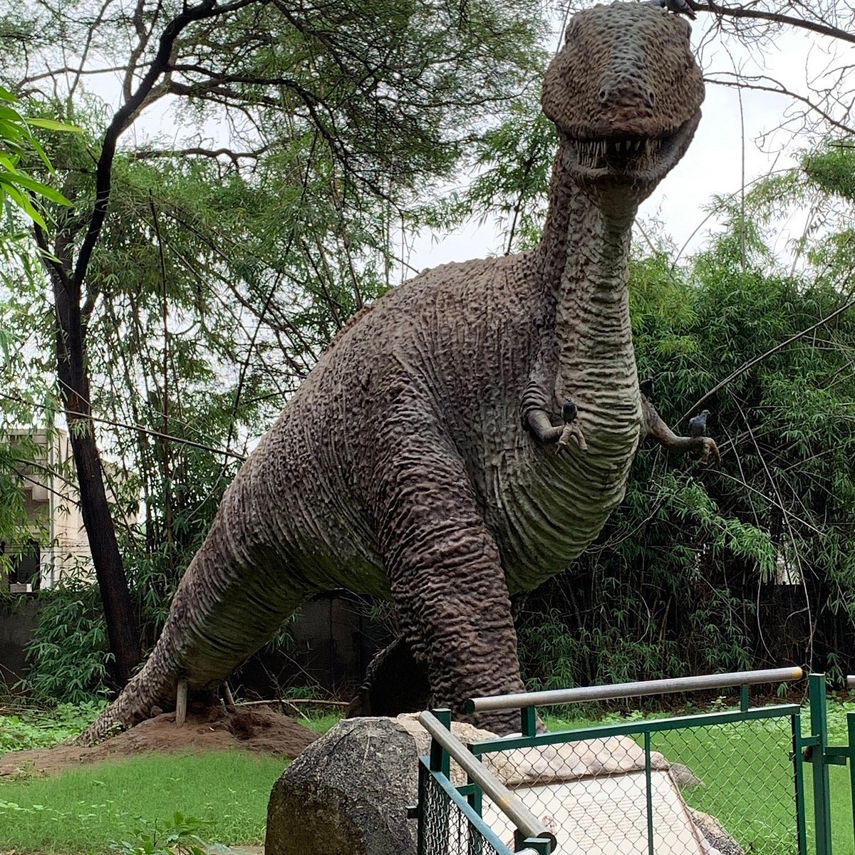 Indroda Nature Park Gandhinagar with fossil and nature interpretation sections
