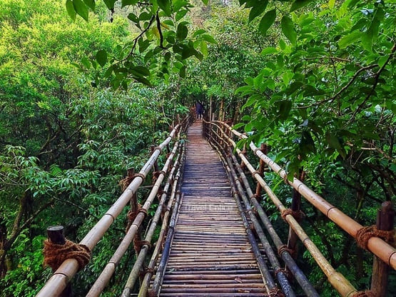 One day Sohra itinerary including Garden of Caves Meghalaya and nearby attractions