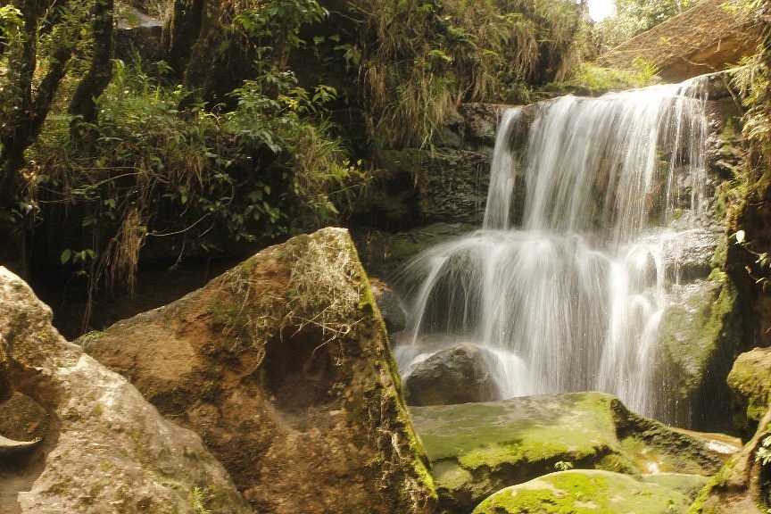 Garden of Caves Meghalaya with lush greenery and cave-style stone pathways