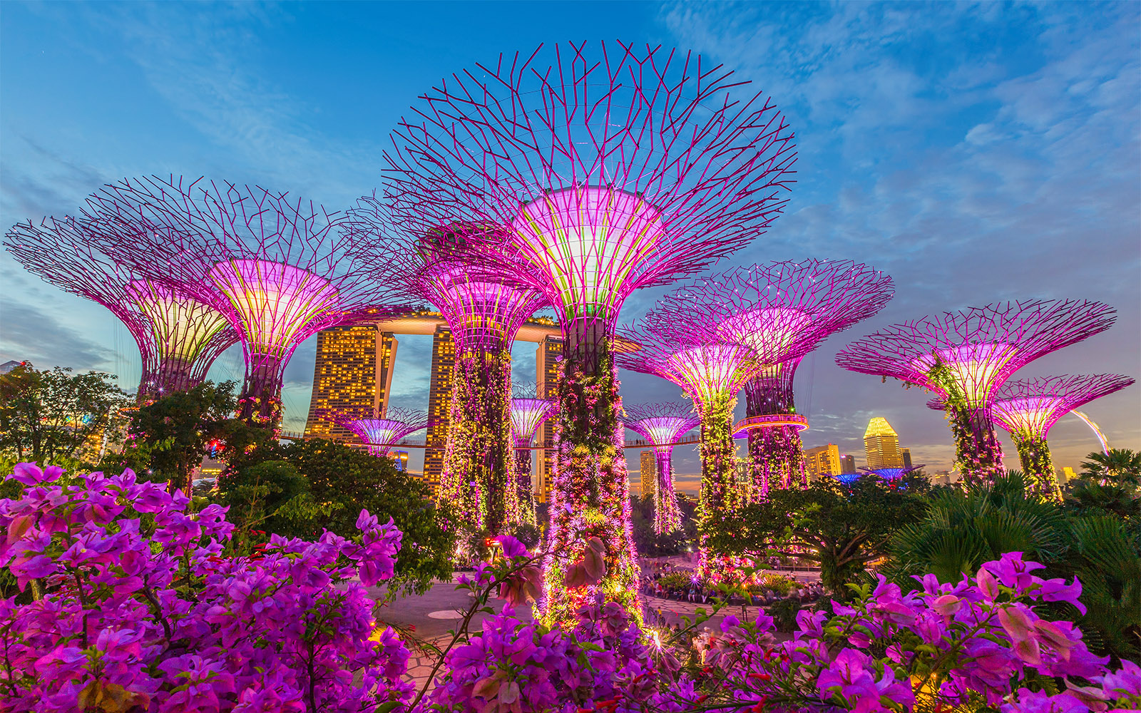 Garden Rhapsody light show at Supertree Grove
