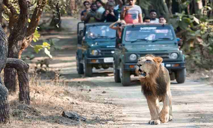 Gir National Park in different seasons