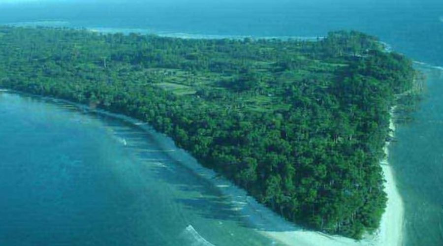 Coastal ecosystem and mangrove edge in Andaman island environment