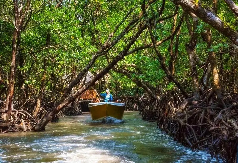Boat journey to Guitar Island