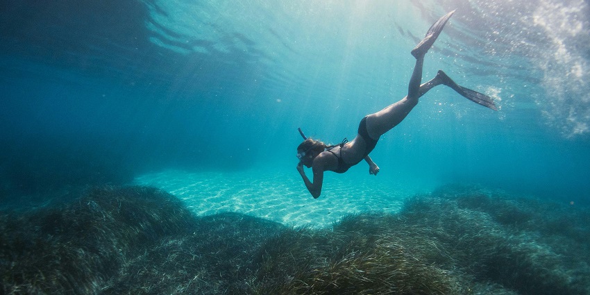 Snorkeling at Guitar Island Beach