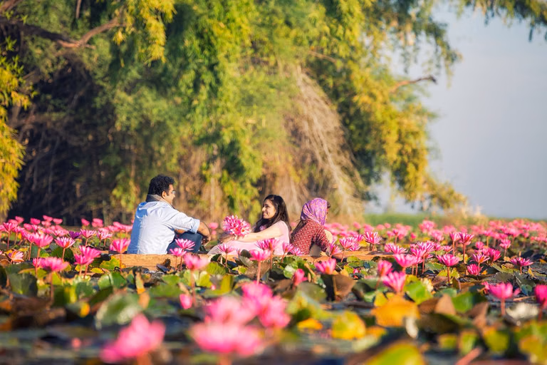 Visitors taking a boat ride through lotus patches at Gulawat Lake