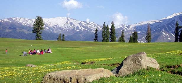 Wide meadow landscape view in Gulmarg Kashmir